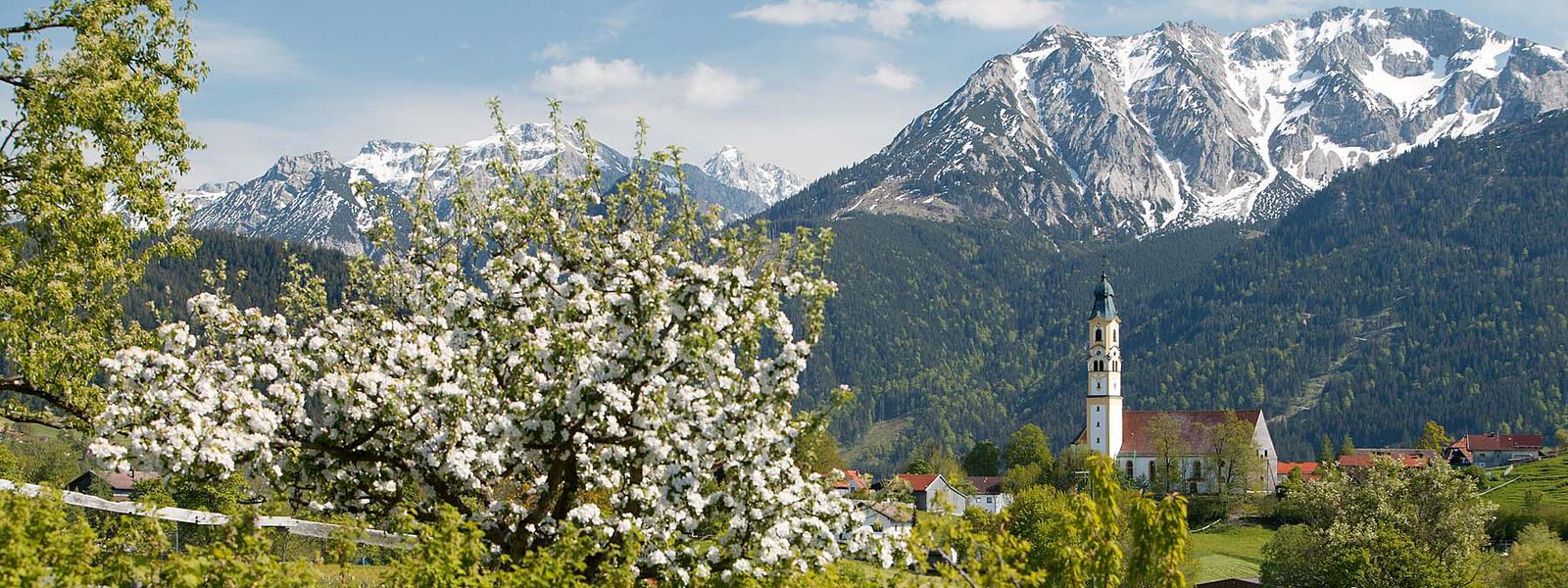 Bergpanorama im Allgäu